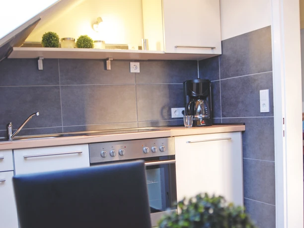 Moderne Küche mit Herd, Spüle und Kaffeemaschine. Rote Tischdecke mit Topfpflanze im Vordergrund.