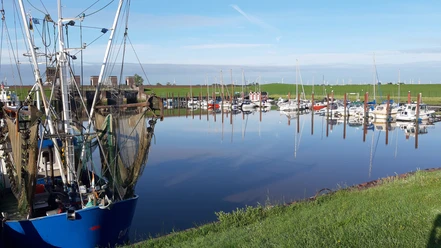 Dangaster Hafen -Kutter.jpg