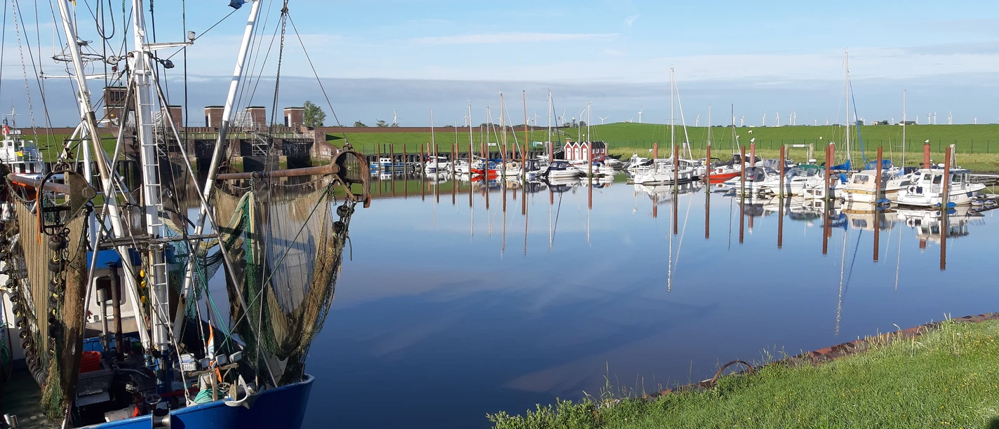 Dangaster Hafen -Kutter.jpg
