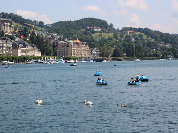 SGV_SNG_Schiffe und Pedalo_FK_12.jpg