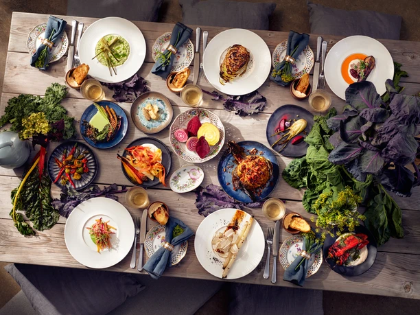 CATERING NEU DENKEN Colorful, varied dishes served on a wooden table, decorated with plants.</p> <p