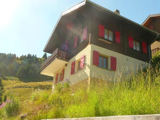 Aussenansicht Sommer