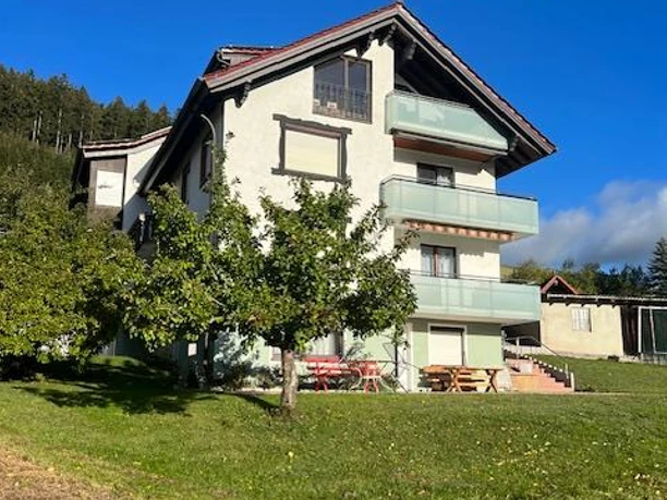 Hausansicht.