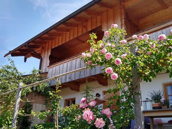 IMG_20210628_120345827_HDR (1)