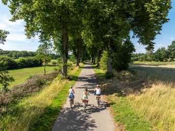 Drei Fahrradfahrerinnen auf dem Radfernweg von Hamburg nach RĂ¼gen unterwegs.