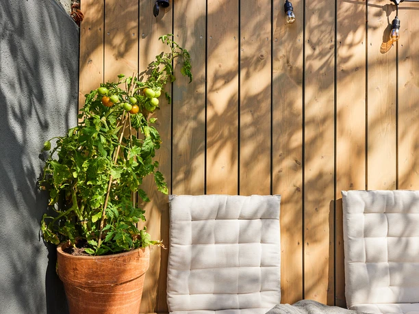 FAIR1-HEiM in der Tomate, Mülheim an der Ruhr Zwei weiß gepolsterte Stühle stehen vor einer Holzwand, daneben ein Topf mit Tomatenpflanzen.