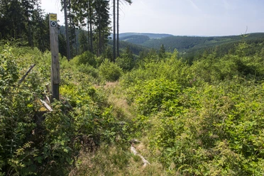 Aufstieg vom Krenkeltal zum Rothaarsteig