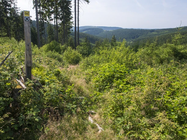 Aufstieg vom Krenkeltal zum Rothaarsteig