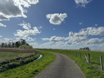 Frühjahr-Naturschutzgebiet Polder Holter Hammrich, Gemeinde Rhauderfehn, Rundkurs mit Blick auf die Natur am Polder mit blauem Himmel und Schäfchenwolken Geschwungener Weg durch grüne Wiesen unter blauem Himmel mit weißen Wolken.