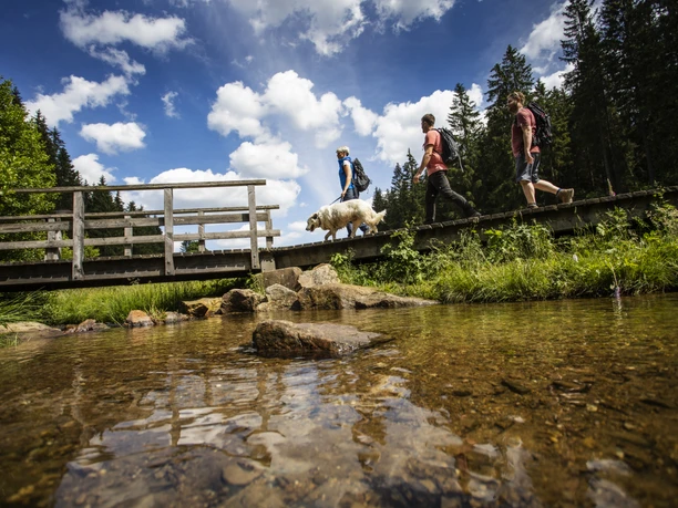 Wandern im Schwarzbachtal