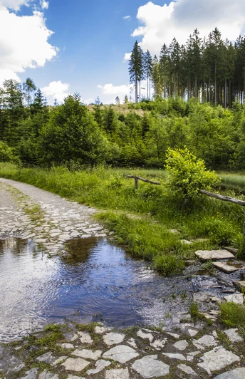 Wasserfurt im Schwarzbachtal