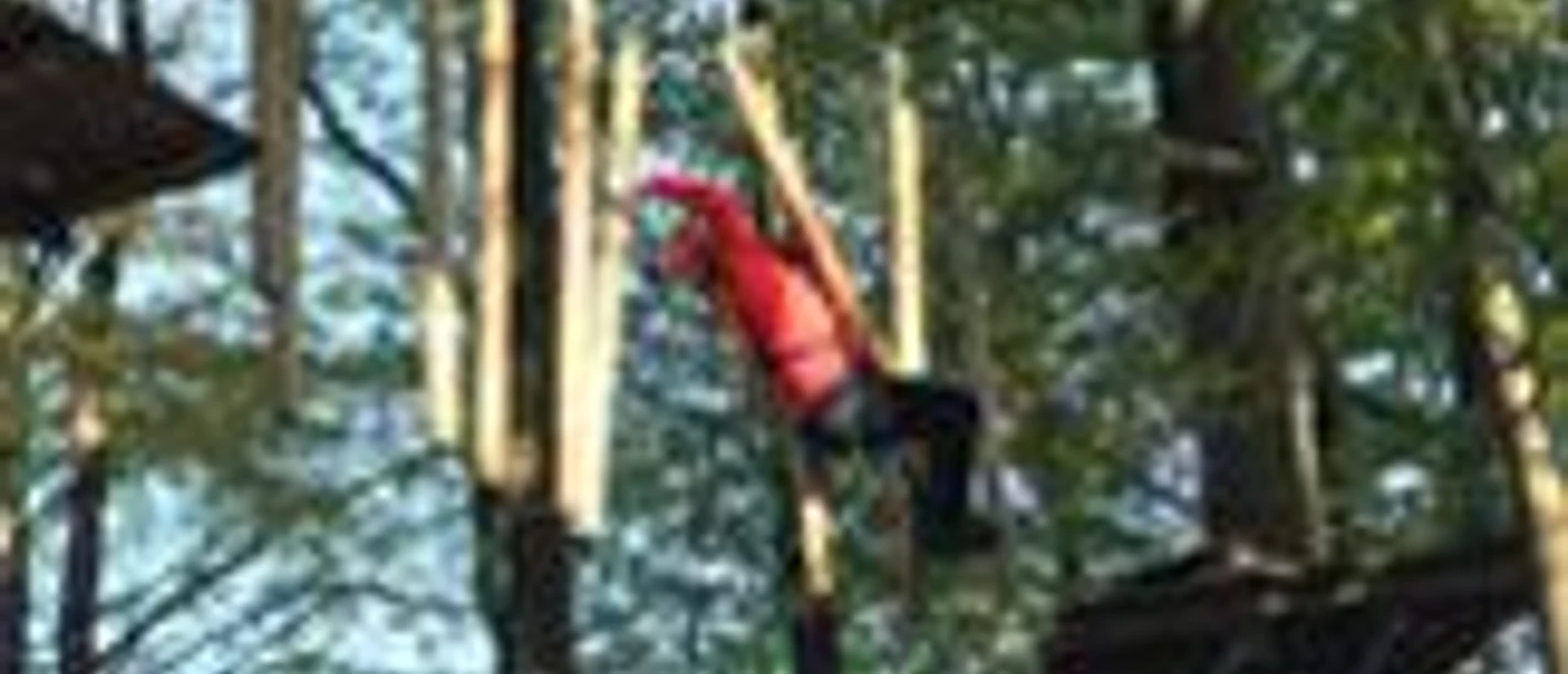 Hochseilgarten Eine Person in einem roten Anzug klettert in einem Hochseilgarten zwischen Bäumen in luftiger Höhe.