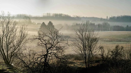 Nebellandschaft bei Buntenbock Nebellandschaft bei Buntenbock