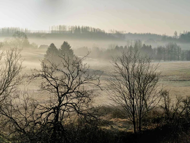 Nebellandschaft bei Buntenbock Nebellandschaft bei Buntenbock