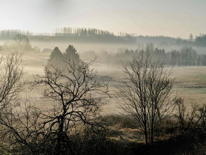 Nebellandschaft bei Buntenbock Nebellandschaft bei Buntenbock