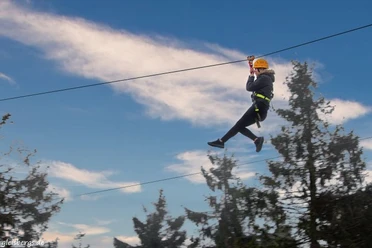 Zipline