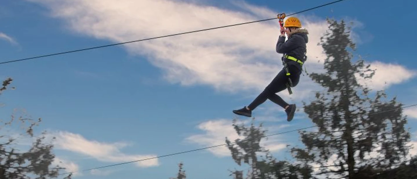 Zipline