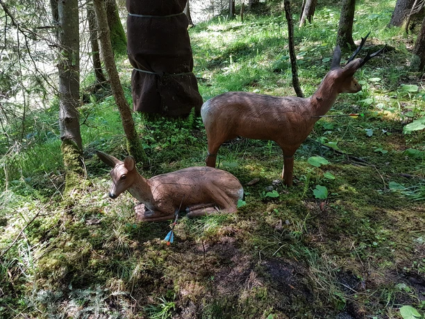 Parc à l'arc d'Emmetten