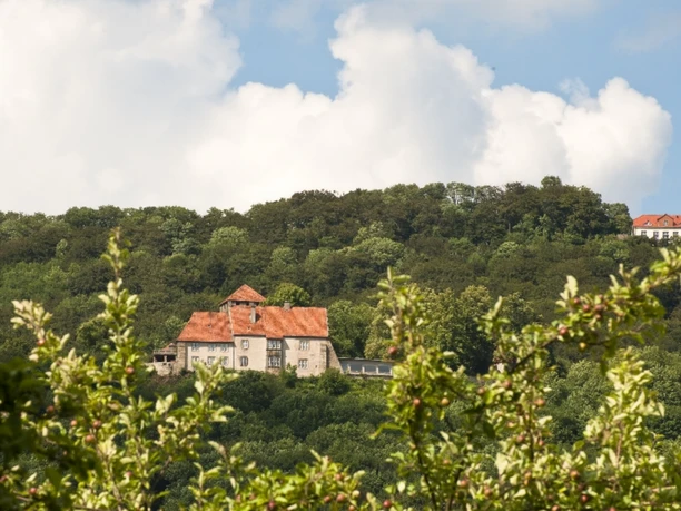 Burg Schaumburg und Paschenburg