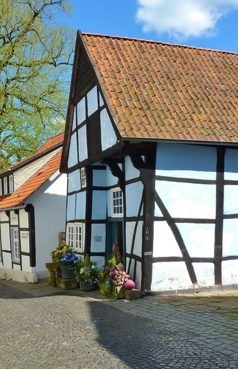 Fachwerkhäuser in einer gepflasterten Straße unter blauem Himmel mit Bäumen im Hintergrund.