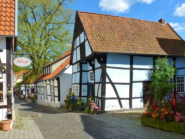 Tecklenburger Bergpfad_Tecklenburger Land Tourismus_3000.jpg Fachwerkhäuser in einer gepflasterten Straße unter blauem Himmel mit Bäumen im Hintergrund.