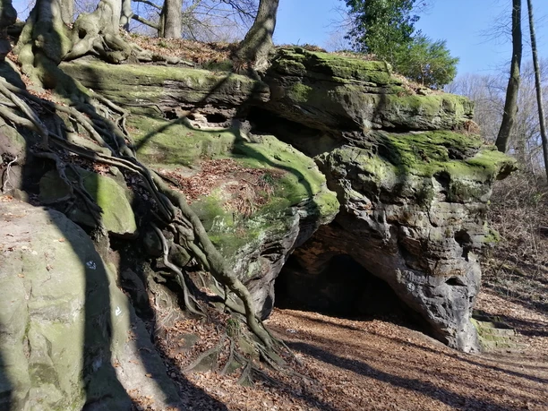 IMG_20190225_112604_resized_20190228_112355872.jpg Eine Felsformation mit bemerkenswerten Wurzeln vor einem blauen Himmel und kahlen Bäumen.