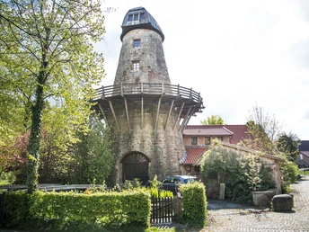 Hörstel Bevergern Levedags Mühle_Stadtmarketing Hörstel UG.jpg Historische Levedags Mühle mit Rundbau und markantem Dach, umgeben von Bäumen und kleinen Gebäuden.