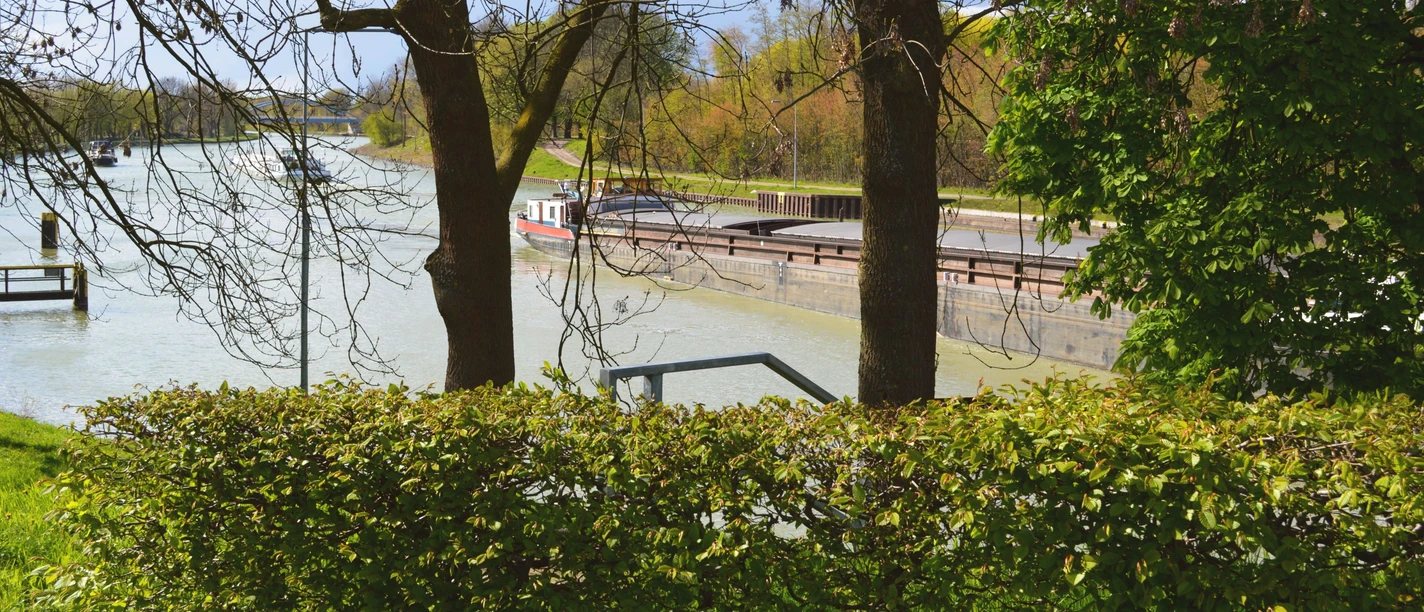 Blick durch Bäume auf eine grüne Kanalstraße mit ruhigem Rundwanderweg im Teutoburger Wald.
