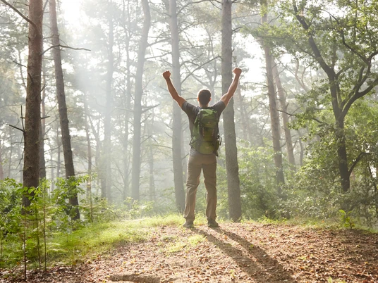 Tinner Loh bei Haren (Ems) – Wanderer unterwegs im Wald ©Naturpark Hümmling (76).jpg Ein Wanderer mit Rucksack steht im Sonnenlicht zwischen hohen Bäumen und hebt die Arme vor Freude.