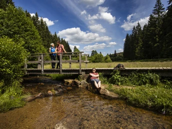 Brücke im Schwarzbachtal