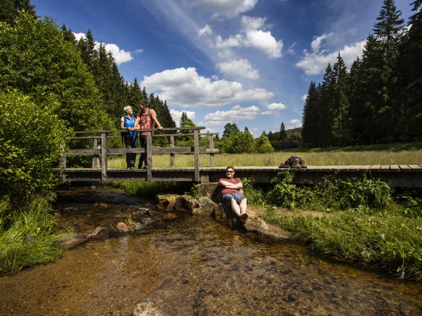 Brücke im Schwarzbachtal