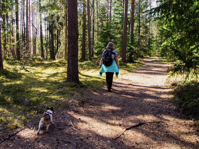 Eine Frau wandert mit ihrem Hund an Reelsen entlang.