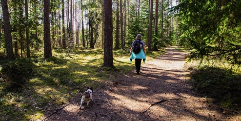 Bad Driburg_Wandern_pexels-pille-kirsi.jpg Eine Frau wandert mit ihrem Hund an Reelsen entlang.