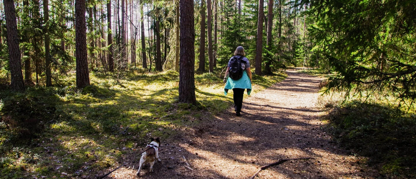 Bad Driburg_Wandern_pexels-pille-kirsi.jpg Eine Frau wandert mit ihrem Hund an Reelsen entlang.