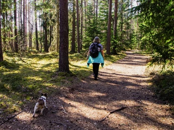 Bad Driburg_Wandern_pexels-pille-kirsi.jpg Eine Frau wandert mit ihrem Hund an Reelsen entlang.