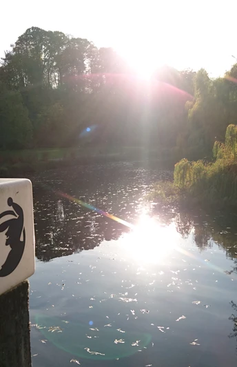 Möllner Kurpark an einem sonnigen Novembertag DSC_4683 © Natascha Pätzold.JPG