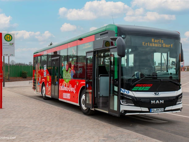 Buslinie K (HBf Döbeln - Karls) Buslinie K vor Haltestelle, moderner MAN-Bus mit Werbung für Karls Erlebnis-Dorf.
