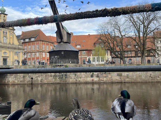 Alter Kran Lüneburg Old Crane Lüneburg Stint Old Town