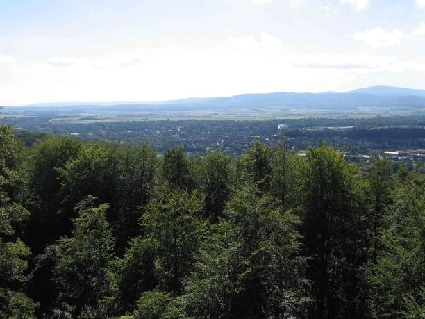 Harlyturm in Vienenburg - Blick vom Turm auf Vienenburg Harlyturm in Vienenburg - Blick vom Turm auf Vienenburg