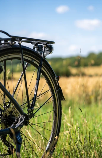 Ausflug mit dem Fahrrad Ausflug mit dem Fahrrad. Der Hinterreifen eines Fahrrads ist zu sehen. Im Hintergrund eine Wiese und ein Feld.