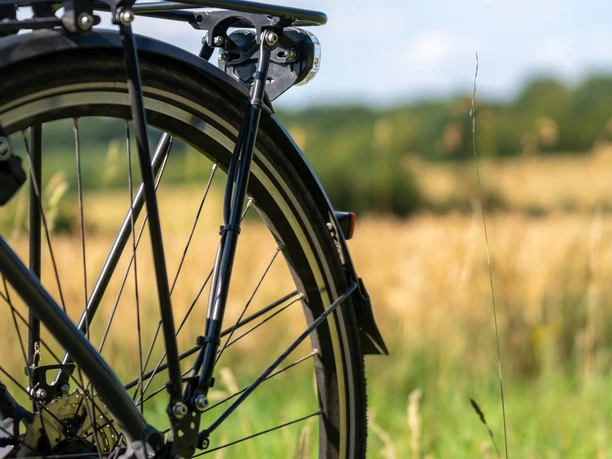 Ausflug mit dem Fahrrad Ausflug mit dem Fahrrad. Der Hinterreifen eines Fahrrads ist zu sehen. Im Hintergrund eine Wiese und ein Feld.