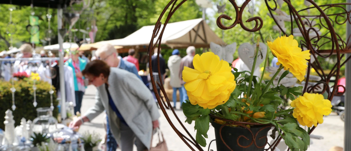 Herbstmarkt im Kurpark Bad Sassendorf