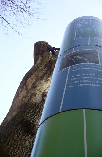 mölln leitsystem ner 84.JPG