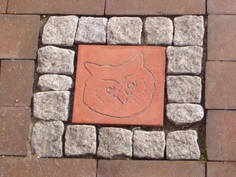 mölln ner moorstation 06 06 3.JPG