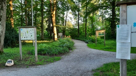 Wasserlehrpfad - Station 3