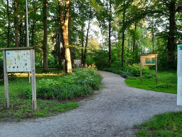 Wasserlehrpfad - Station 3