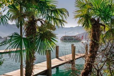 Weggis-Quai_DSC01725.jpg