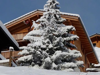 Chalet Winter