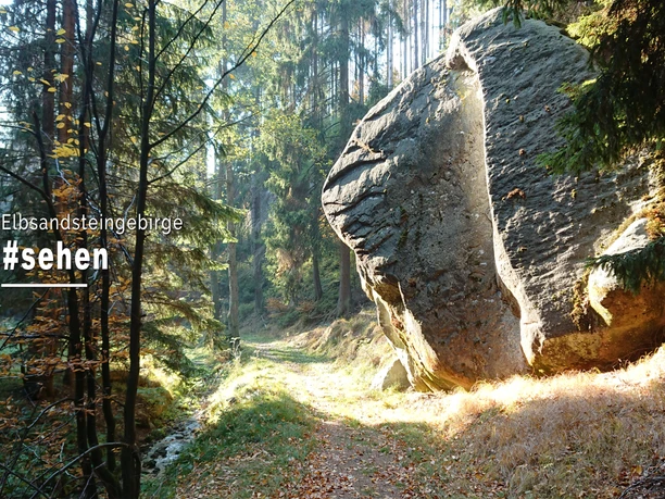 Een grote rots in het Elbezandsteengebergte, omgeven door dicht bos en een smal pad, verlicht door zacht zonlicht.