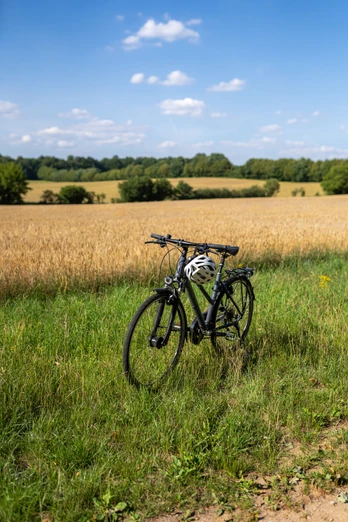 Ausflug mit dem Fahrrad _Tour de Grass__Sh-Tourismus_MOCANOX.jpg Tour de Grass
